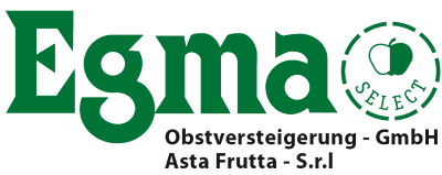 Logo-Egma
